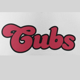 Cubs Soccer Trucker Hat- All Designs Avaiable