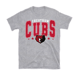 Cubs Vintage Style Tee